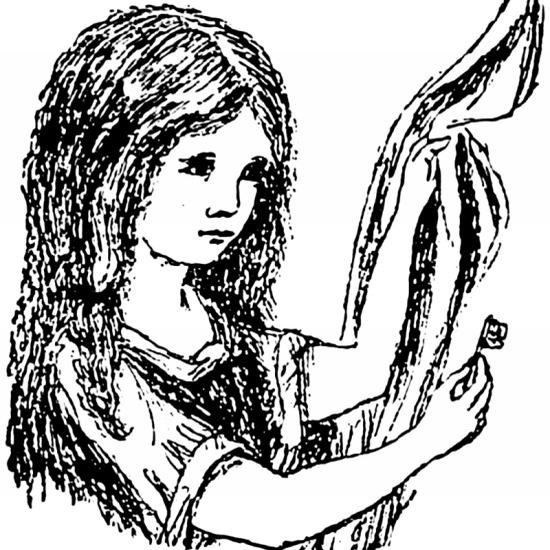 Alice's Adventures in Wonderland - First Ediion Illustration